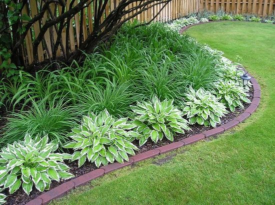 plant-ideas-for-garden-beds-02_11 Растителни идеи за градински легла