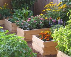 plant-ideas-for-garden-beds-02_15 Растителни идеи за градински легла