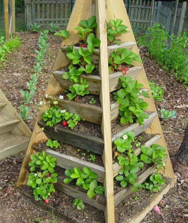 plant-ideas-for-garden-beds-02_18 Растителни идеи за градински легла