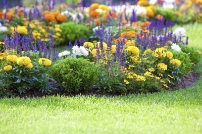planting-a-flower-bed-93_15 Засаждане на цветна леха