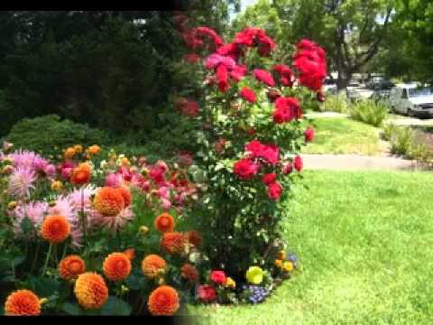 planting-flower-beds-ideas-80_8 Засаждане на цветни лехи идеи