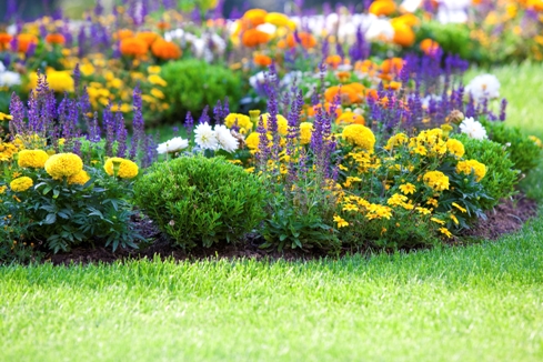 planting-flower-beds-12_6 Засаждане на цветни лехи