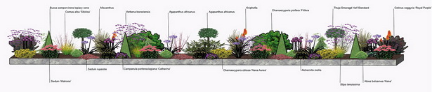 planting-ideas-for-raised-flower-beds-65_17 Засаждане на идеи за повдигнати цветни лехи