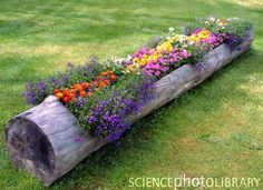 planting-ideas-for-raised-flower-beds-65_19 Засаждане на идеи за повдигнати цветни лехи