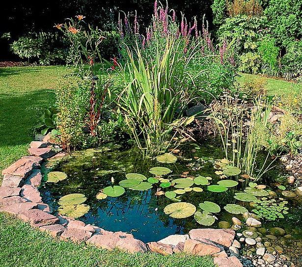 plants-for-garden-ponds-74_12 Растения за градински езера