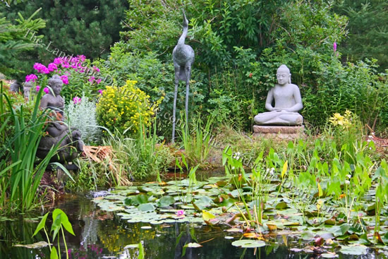 plants-for-garden-ponds-74_17 Растения за градински езера