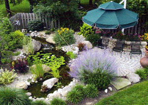 plants-for-garden-ponds-74_2 Растения за градински езера