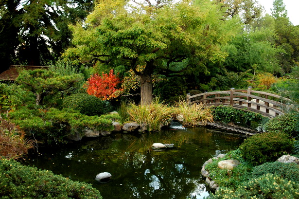 Езерце и градина