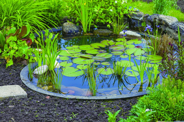 pond-garden-81_13 Езерце градина
