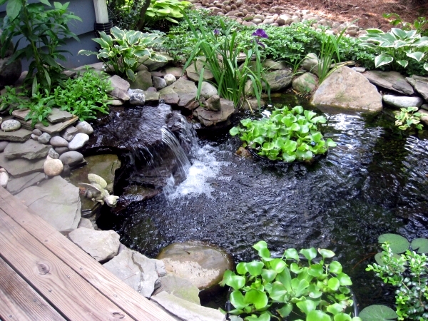 pond-in-garden-design-06 Езерце в дизайна на градината