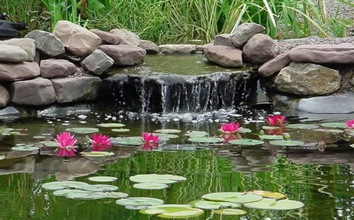 pond-in-garden-design-06_13 Езерце в дизайна на градината
