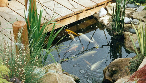 pond-in-garden-design-06_8 Езерце в дизайна на градината