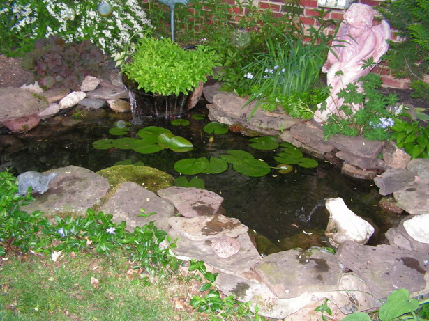 pond-in-garden-75_15 Езерце в градината