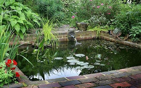 pond-in-garden-75_7 Езерце в градината