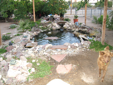 pond-in-the-backyard-51_4 Езерце в задния двор