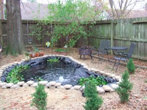 pond-in-the-backyard-51_9 Езерце в задния двор