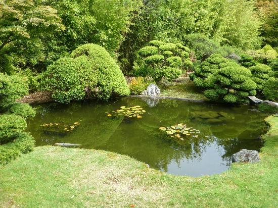 pond-in-the-garden-58_13 Езерце в градината