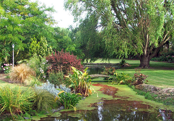 pond-in-the-garden-58_14 Езерце в градината