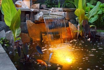 pond-light-69_18 Езерце светлина