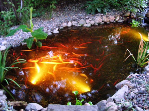 pond-light-69_4 Езерце светлина
