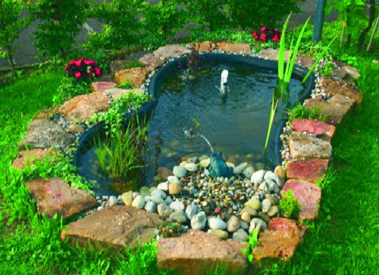 pond-planting-ideas-78_6 Идеи за засаждане на езерце