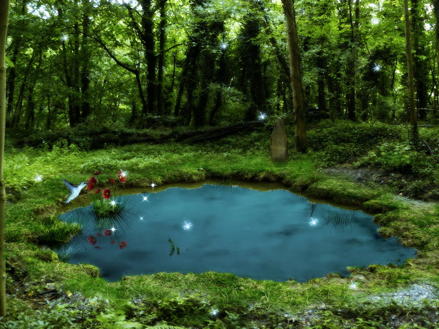 pond-22 Езерце
