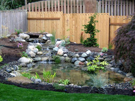 ponds-for-backyard-with-waterfall-64_20 Езера за заден двор с водопад