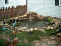 ponds-for-backyards-31_5 Езера за дворове
