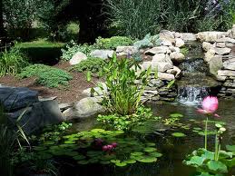 ponds-for-gardens-66_9 Езера за градини