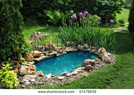 ponds-for-small-gardens-11_2 Езера за малки градини