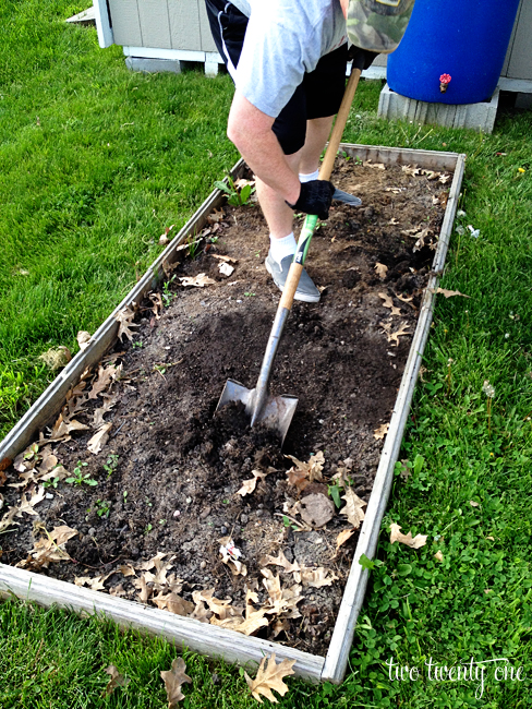 preparing-a-vegetable-garden-92_4 Подготовка на зеленчукова градина