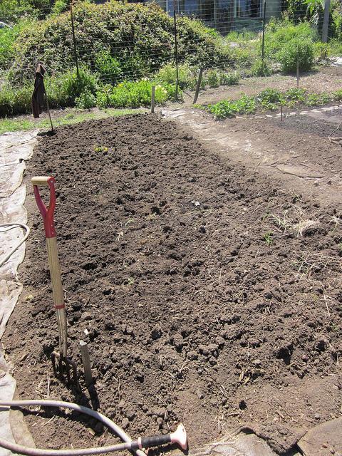 preparing-a-vegetable-garden-92_9 Подготовка на зеленчукова градина