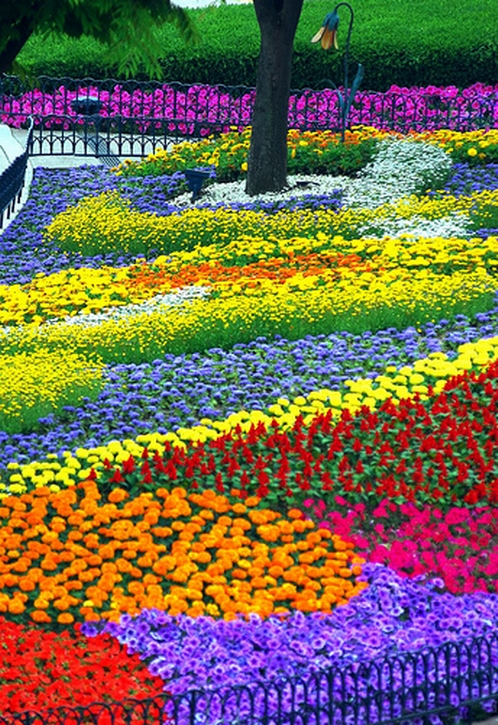pretty-flower-garden-ideas-16_15 Красиви идеи за цветна градина