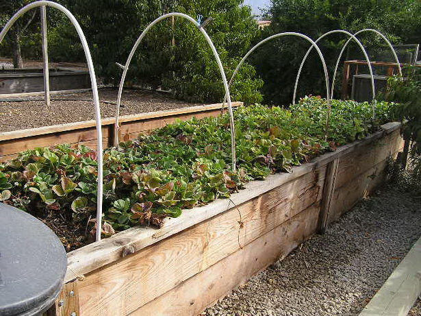 raised-bed-designs-vegetable-gardens-24_12 Повдигнати легло дизайни зеленчукови градини
