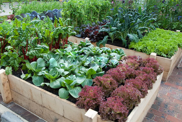 raised-bed-vegetable-garden-ideas-99_17 Повдигнати легло зеленчукова градина идеи