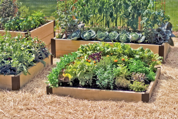 Повдигнато легло зеленчукова градина