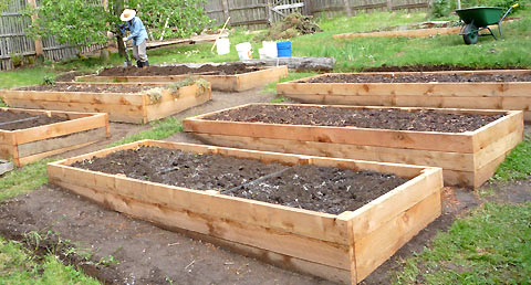 raised-bed-vegetable-garden-86_5 Повдигнато легло зеленчукова градина
