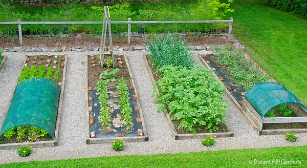 Повдигнати легло зеленчукови градини