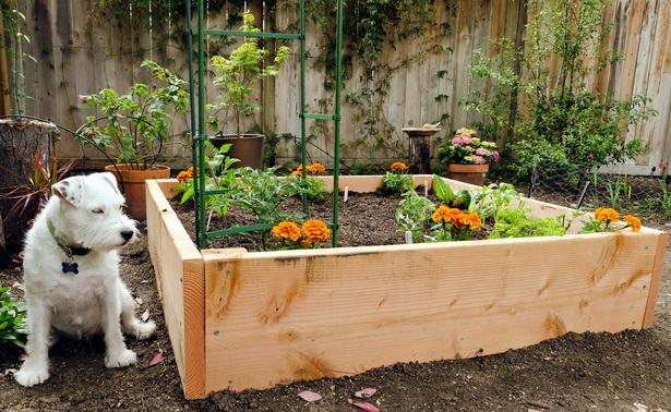 raised-bed-vegetable-gardens-34_14 Повдигнати легло зеленчукови градини