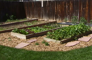 raised-bed-vegetable-gardens-34_3 Повдигнати легло зеленчукови градини