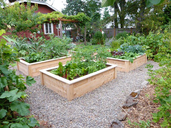 raised-bed-veggie-gardens-43 Повдигнати легло вегетариански градини