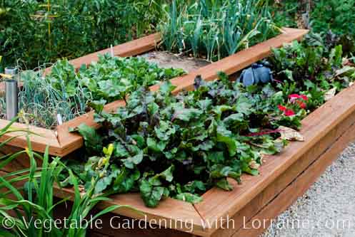 raised-bed-veggie-gardens-43_10 Повдигнати легло вегетариански градини