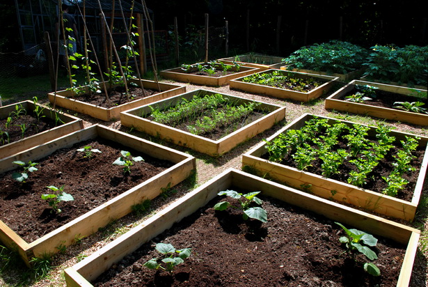 raised-bed-veggie-gardens-43_13 Повдигнати легло вегетариански градини