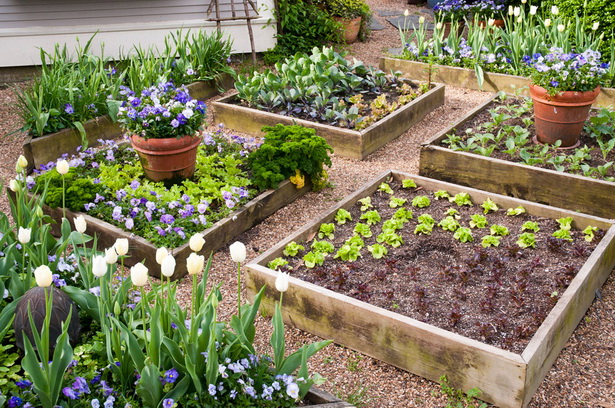 raised-bed-veggie-gardens-43_3 Повдигнати легло вегетариански градини