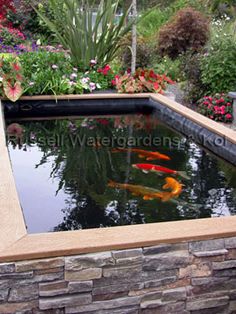 raised-garden-pond-designs-85_12 Повдигнати градински дизайн езерце