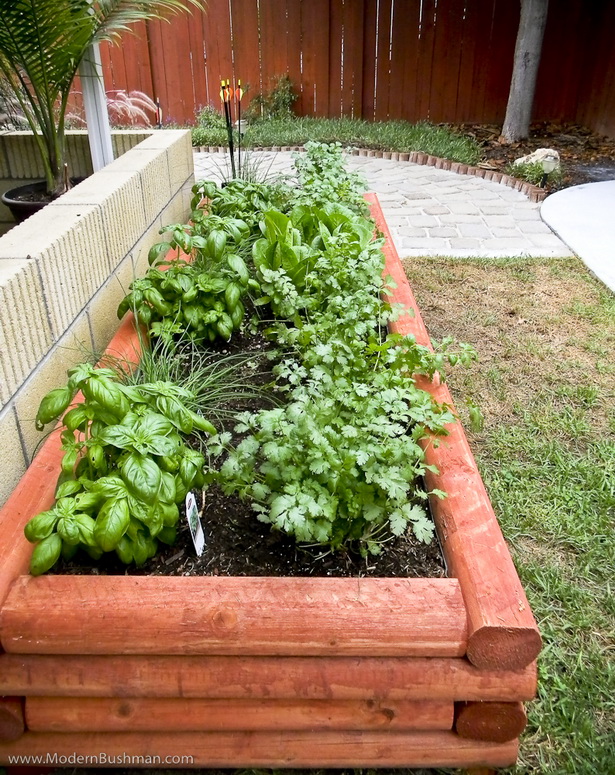 raised-herb-garden-ideas-48_11 Повдигнати билкова градина идеи