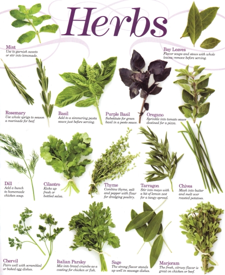 raised-herb-garden-ideas-48_16 Повдигнати билкова градина идеи