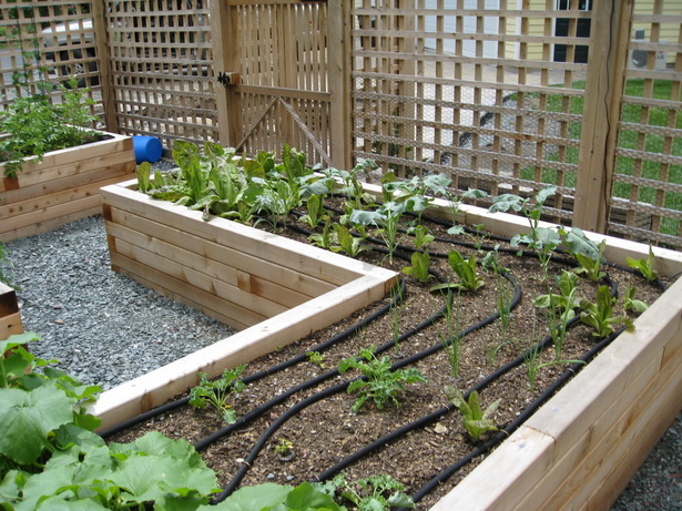 raised-vegetable-garden-design-ideas-26_12 Повдигнати зеленчукова градина дизайн идеи