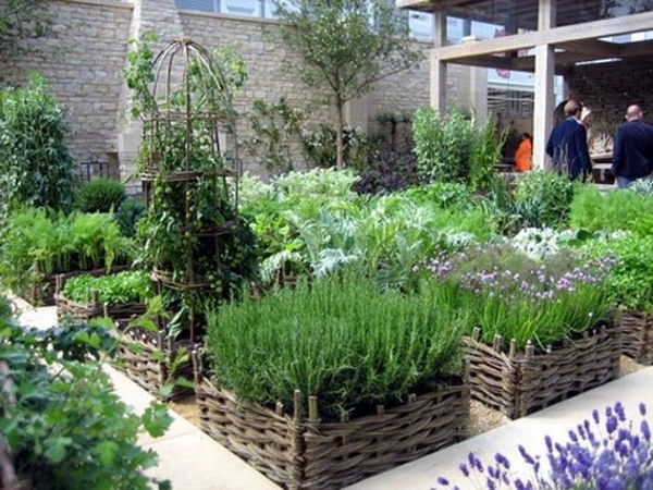 raised-vegetable-garden-design-ideas-26_5 Повдигнати зеленчукова градина дизайн идеи