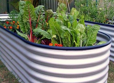 raised-veggie-garden-ideas-44_6 Идеи за зеленчукова градина